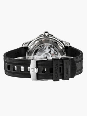 Omega Seamaster Diver 300M Black Rubber